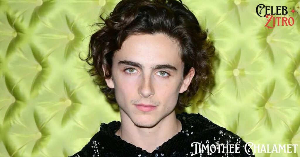 Timothee Chalamet Net Worth